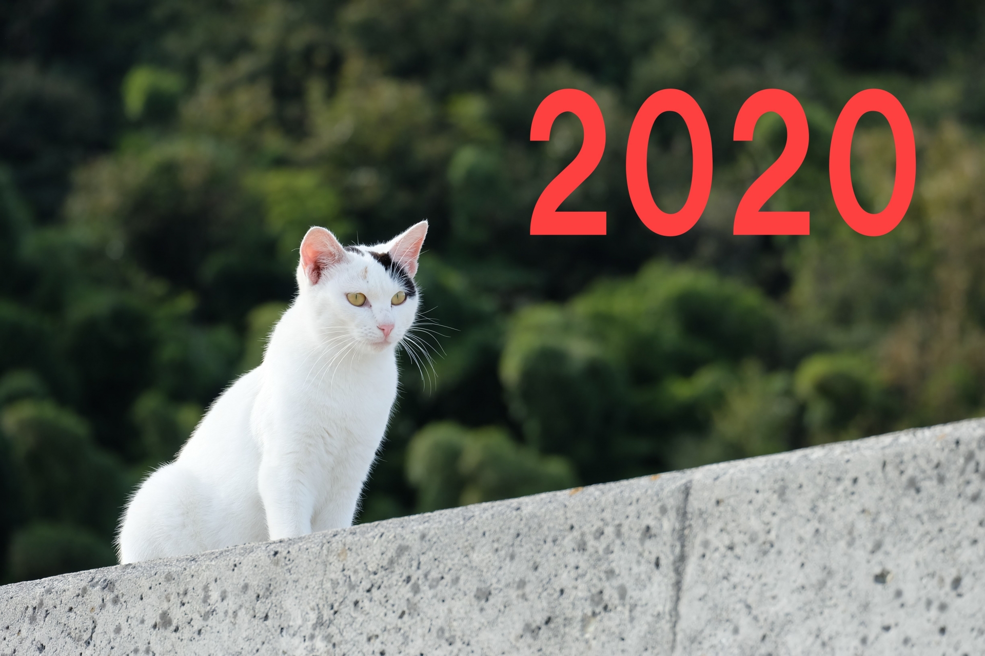 暮らしのギモンバックナンバー　２０２０年