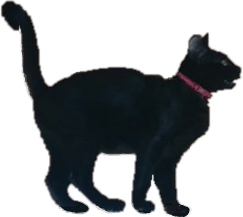 行政書士なかやかおり事務所